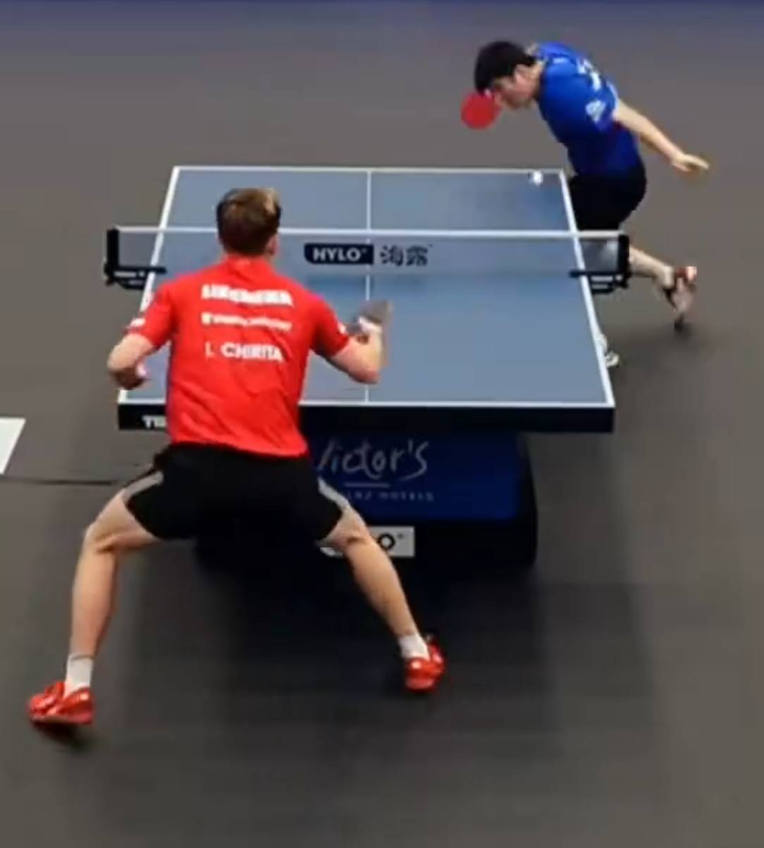 关于日本乒乓球队翻盘德国乒乓球队,樊振东关键制胜的信息 关于日本乒乓球队翻盘德国乒乓球队,樊振东关键制胜的信息