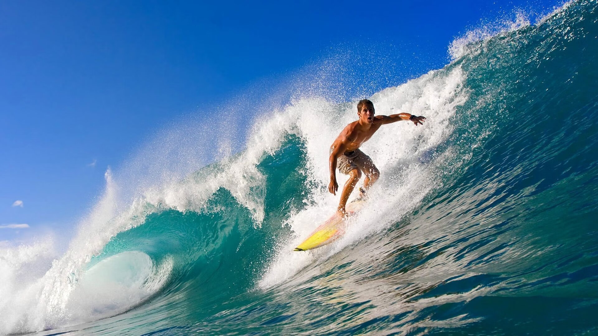 年度焦点之战之夜,文班亚马如何以节奏掌控书写传奇